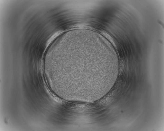 X0000097781098200803281656