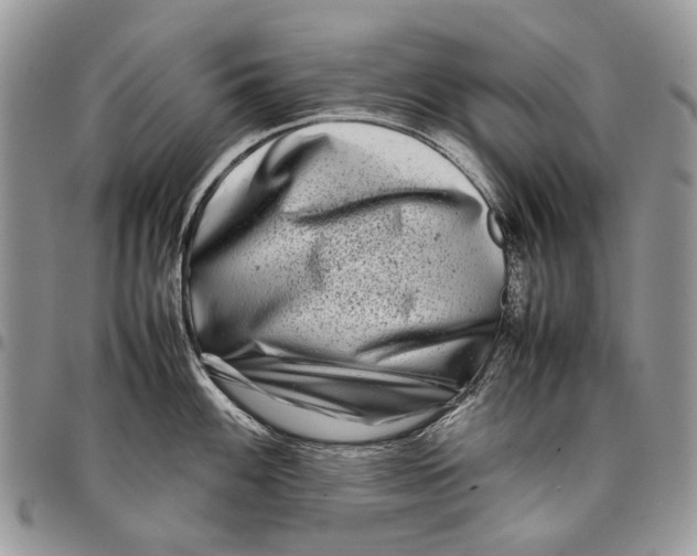 X0000097781100200803281656