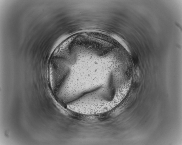 X0000097781101200803281656