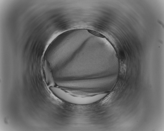 X0000097781102200803281656