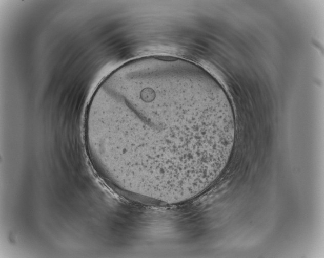 X0000097781104200803281656