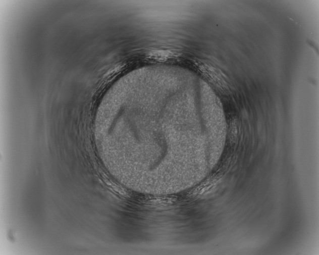 X0000097781105200803281655