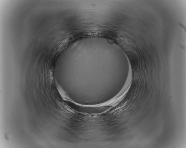 X0000097781106200803281655