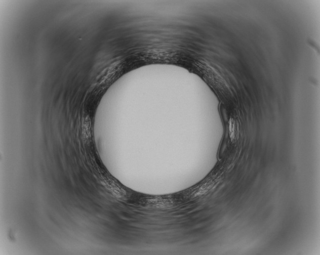 X0000097781107200803281655