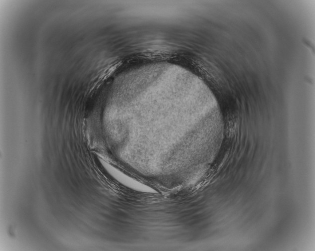 X0000097781108200803281655