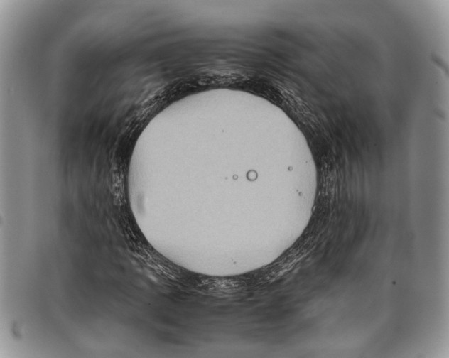 X0000097781109200803281655