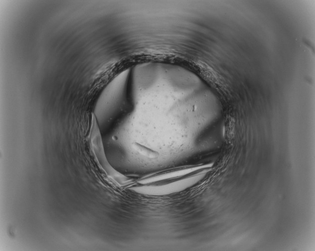 X0000097781110200803281655