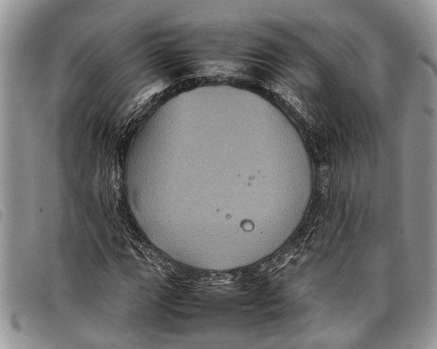 X0000097781111200803281655