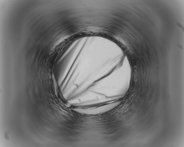 X0000097781112200803281655