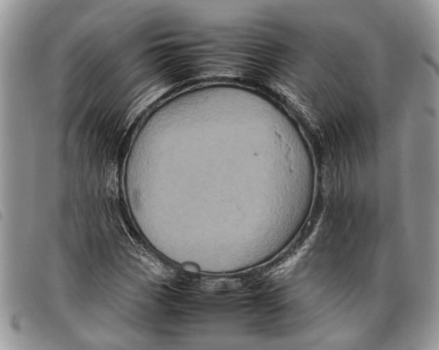 X0000097781113200803281655