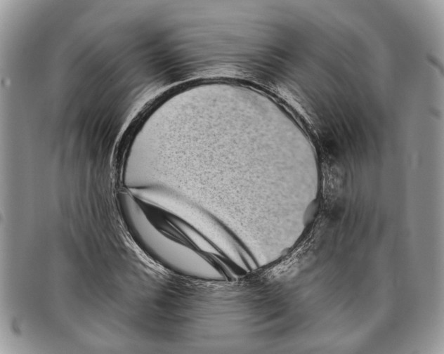 X0000097781116200803281655