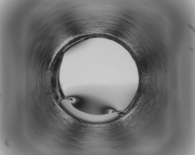 X0000097781118200803281655