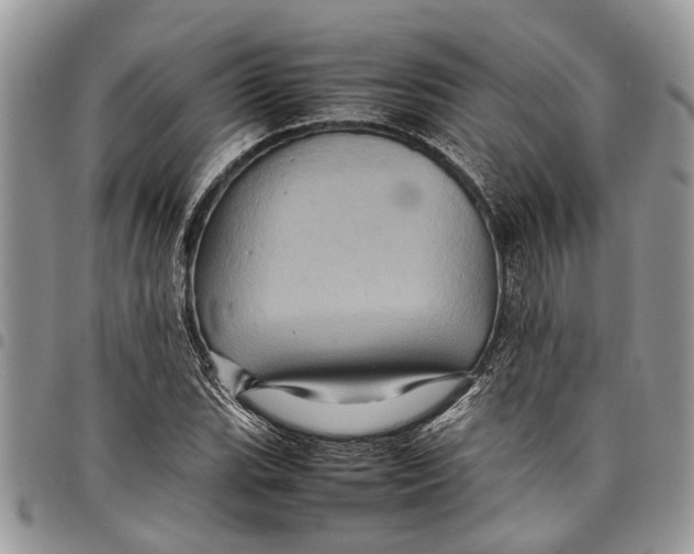 X0000097781119200803281656