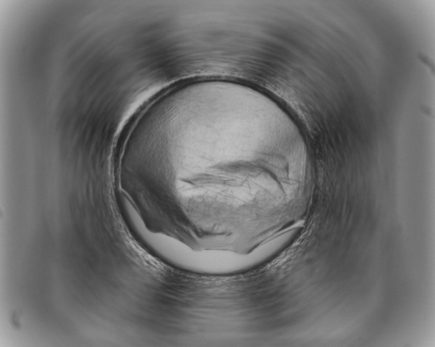 X0000097781120200803281656