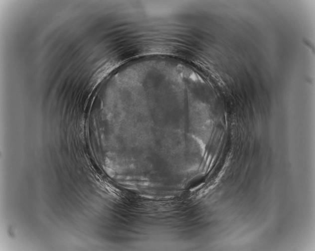 X0000097781121200803281656