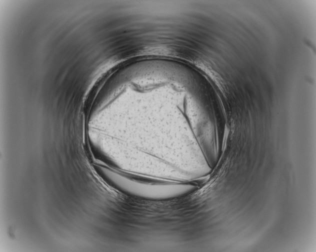 X0000097781123200803281656