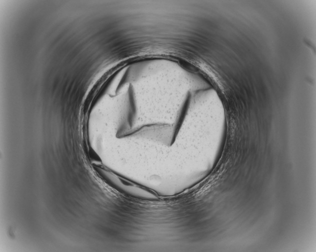 X0000097781124200803281656