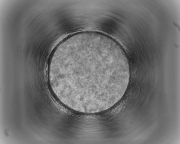 X0000097781126200803281656