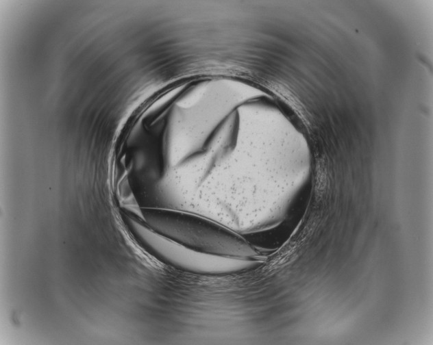 X0000097781128200803281656