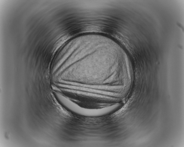 X0000097781129200803281656