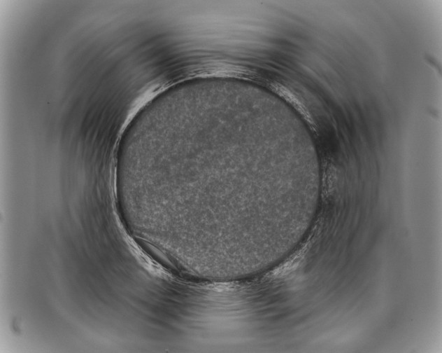 X0000097781130200803281656