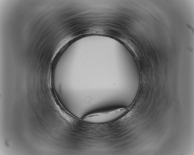 X0000097781131200803281656