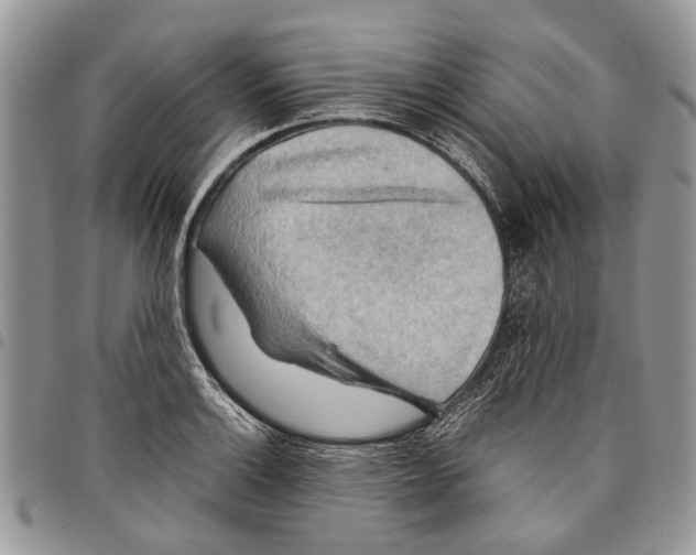 X0000097781132200803281656