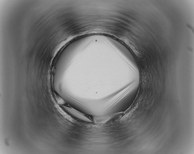 X0000097781134200803281656