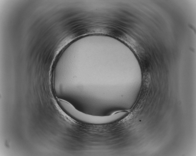 X0000097781135200803281656