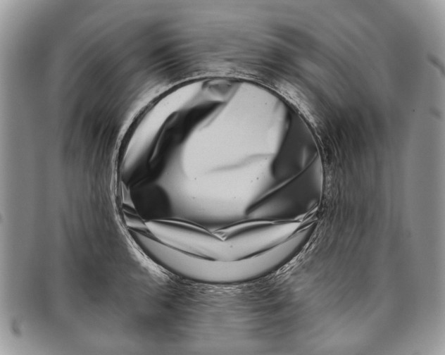 X0000097781136200803281656