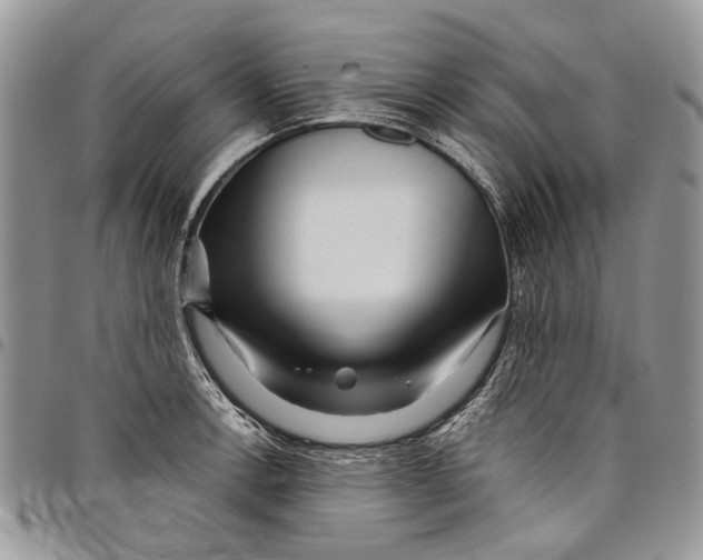 X0000097781138200803281656