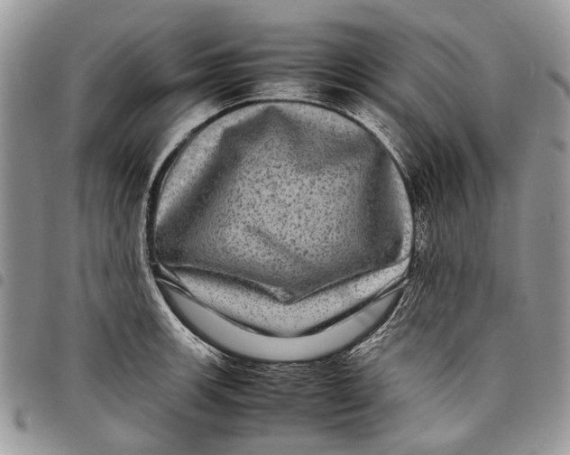 X0000097781139200803281656