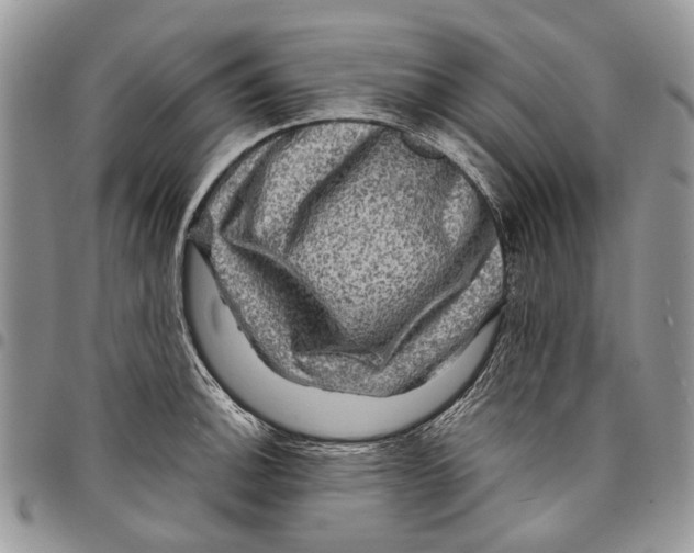 X0000097781140200803281656