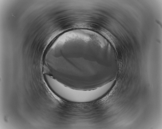 X0000097781141200803281656