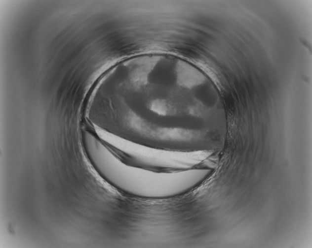 X0000097781142200803281656