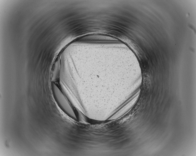 X0000097781143200803281656