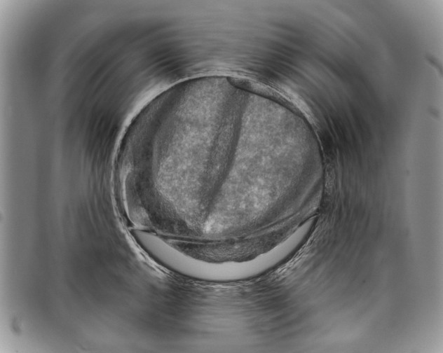 X0000097781144200803281656