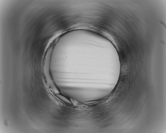 X0000097781146200803281656