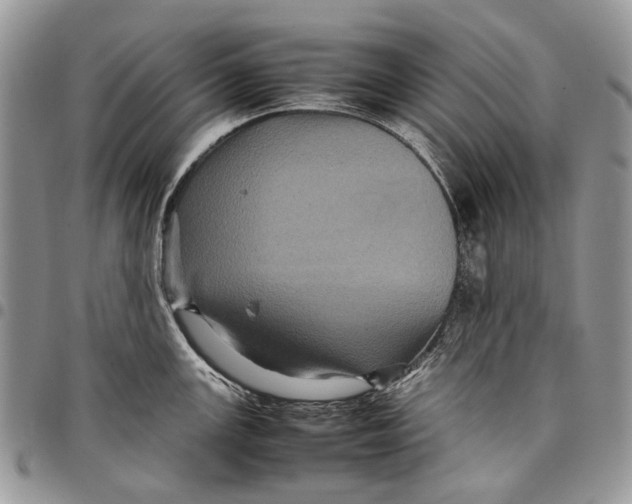 X0000097781147200803281656