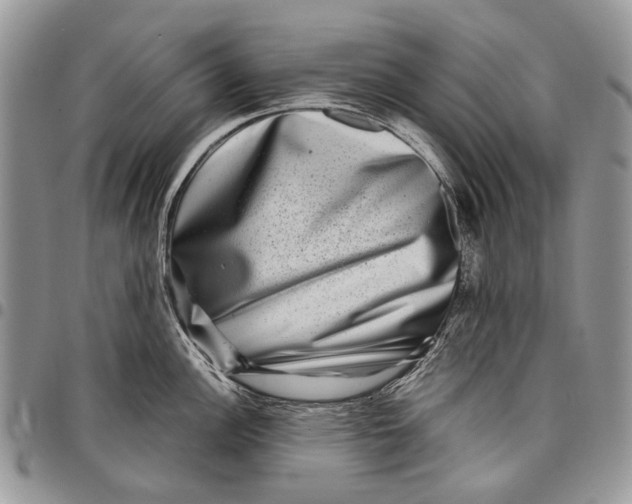 X0000097781148200803281656