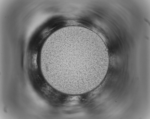 X0000097781150200803281656