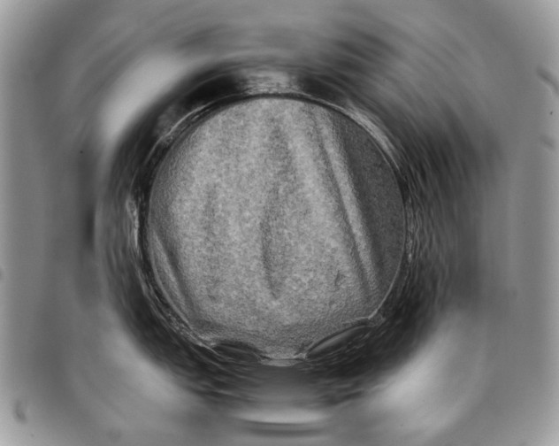 X0000097781151200803281656