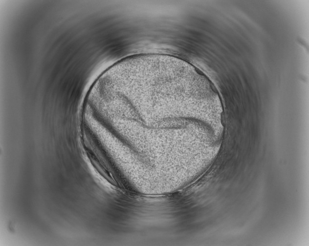 X0000097781152200803281656