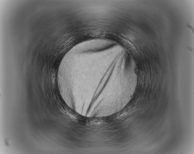 X0000097781154200803281655