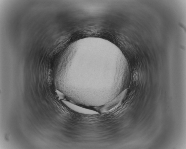 X0000097781156200803281655