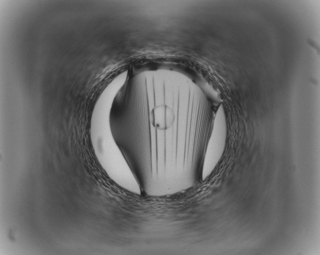 X0000097781157200803281655