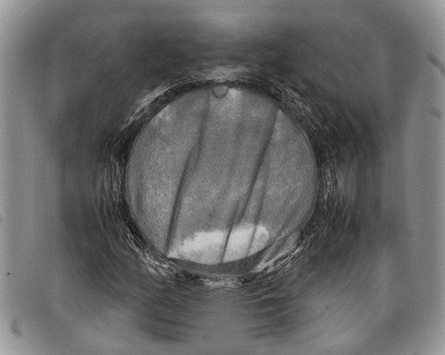 X0000097781158200803281655