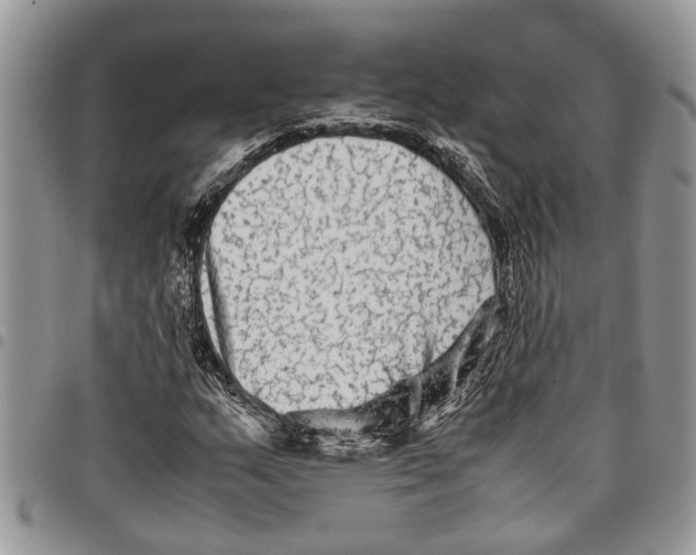 X0000097781159200803281655