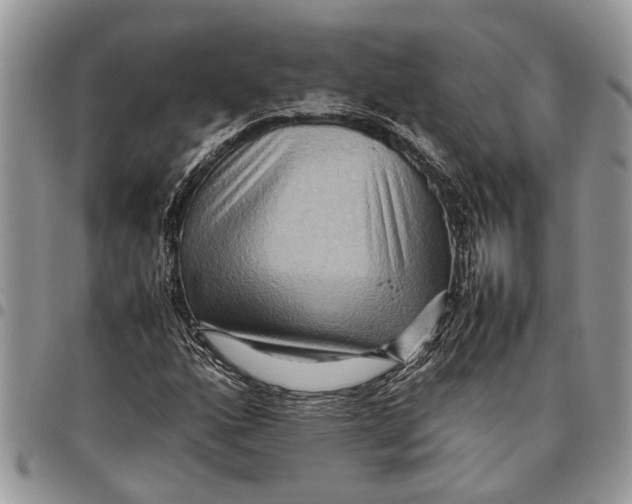 X0000097781160200803281655