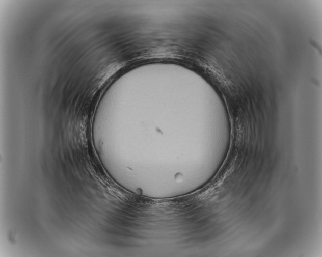 X0000097781162200803281655